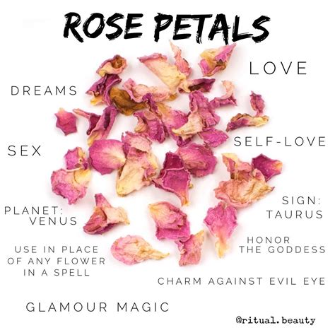 Rose Magical Devastators and Their Connection to the Divine Feminine